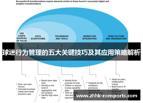 球迷行为管理的五大关键技巧及其应用策略解析