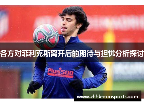 各方对菲利克斯离开后的期待与担忧分析探讨