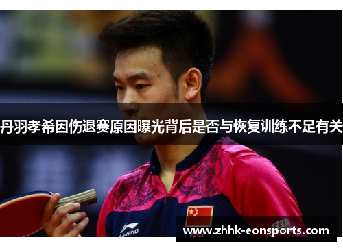丹羽孝希因伤退赛原因曝光背后是否与恢复训练不足有关