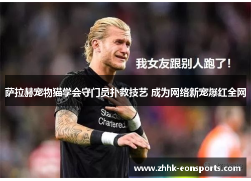 萨拉赫宠物猫学会守门员扑救技艺 成为网络新宠爆红全网