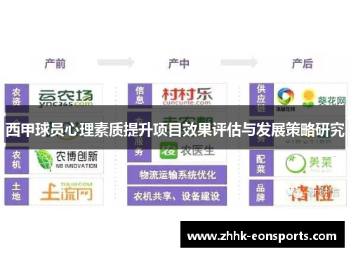 西甲球员心理素质提升项目效果评估与发展策略研究